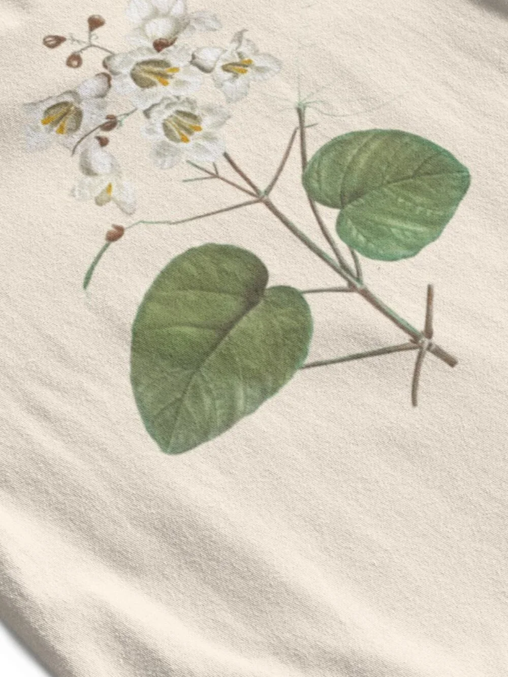Indian Bean Tree Vintage Floral Print Short Sleeve Graphic Tee T-shirt S-XXL